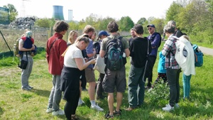 Wildbienenspaziergang an den Elbwiesenhängen