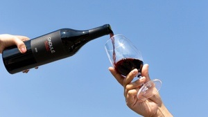Sommer-Weinfest