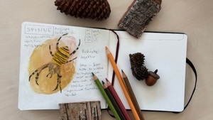Nature Journaling