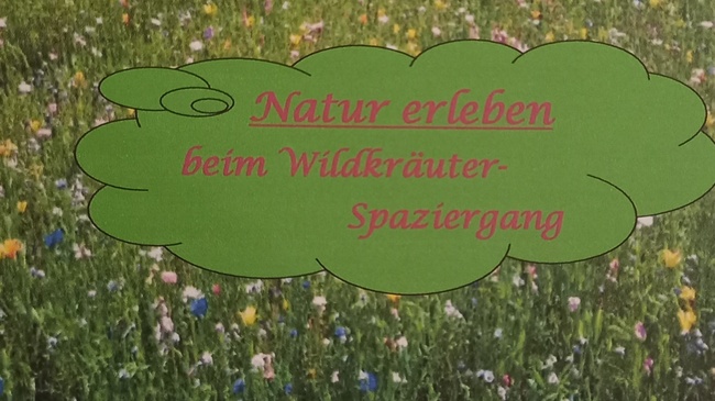 Wildkräuter Spaziergang