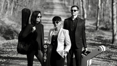 Salzburg Guitar Trio