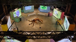 Sonderausstellung "IndustrieInsekten. In einem unbekannten Land"