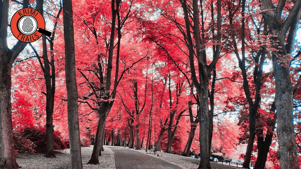 Krimi\u002DTrail Münster