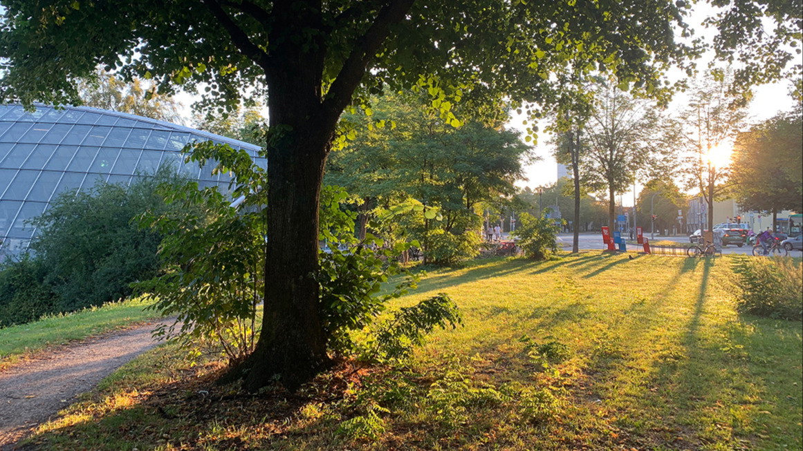 Guten Morgen, liebe Sonne, und die Wunder von St. Quirin