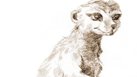 Zeichnen für Kinder | Ab 7 Jahren