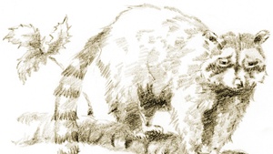 Zeichnen für Kinder | Ab 7 Jahren