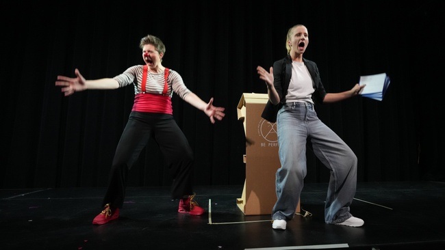 Das Coaching - Ein Clownsspektakel