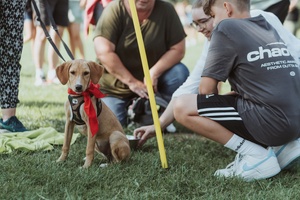 Bark Date - finden deinen neuen Besten Freund aus dem Tierschutz