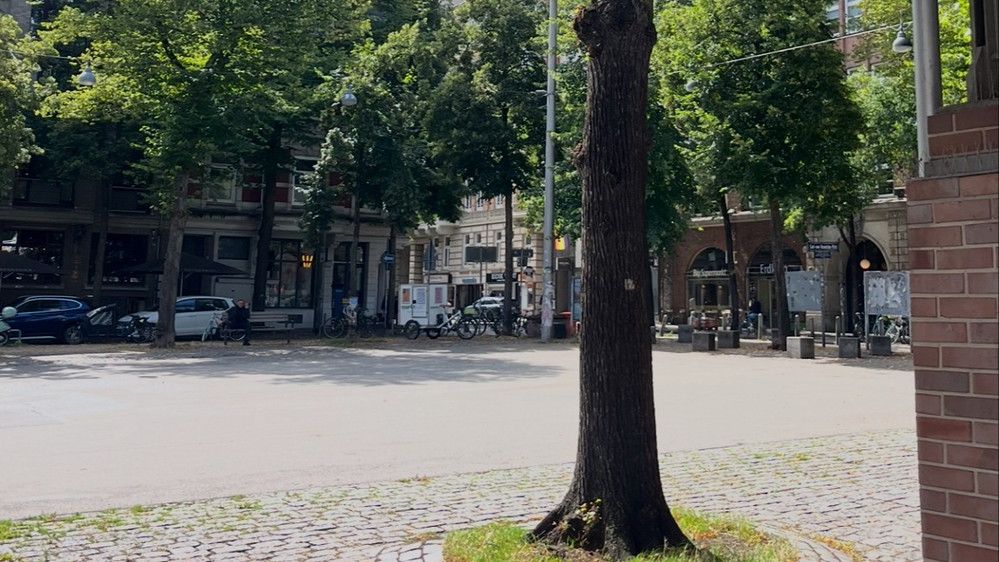 Flohmarkt Lange Reihe