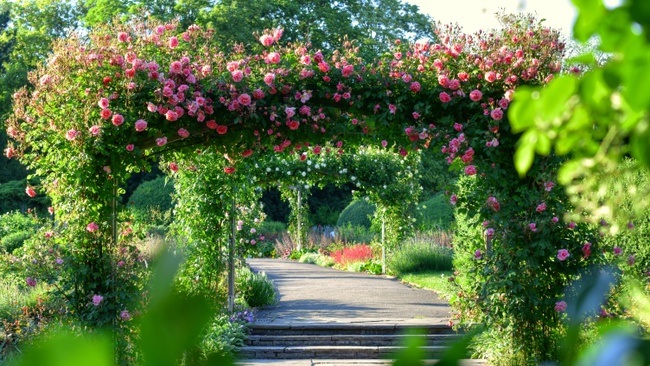 Ab in den Park – Allgemeine Parkführung