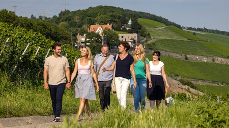 Führung: Steinwein Wanderung