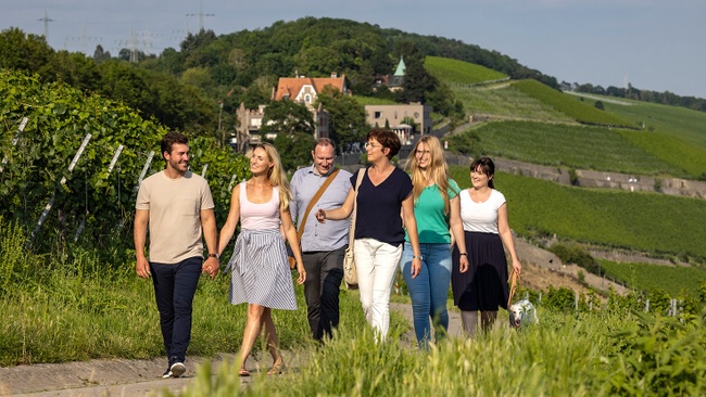Führung: Steinwein Wanderung