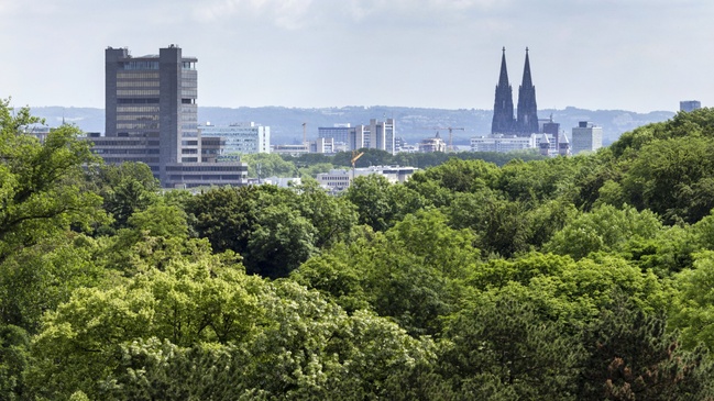 Wie viele Bäume braucht die Stadt der Zukunft? – KStA-Live-Talk im Rahmen der Serie „100 Ideen für Köln“