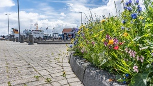 Kinderwoche der Natur