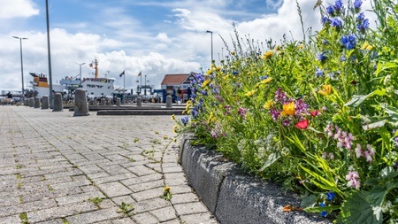 Kinderwoche der Natur