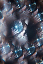 DisKo2080s