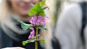 Survival-Schnuppertag