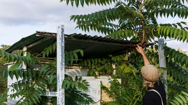 Botanische Führung