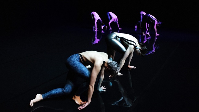 Standard // CocoonDance Company