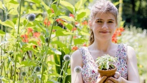 Gemüse anbauen und selber ernten Führung im Krautgarten an der Silberdistelstraße in Pasing