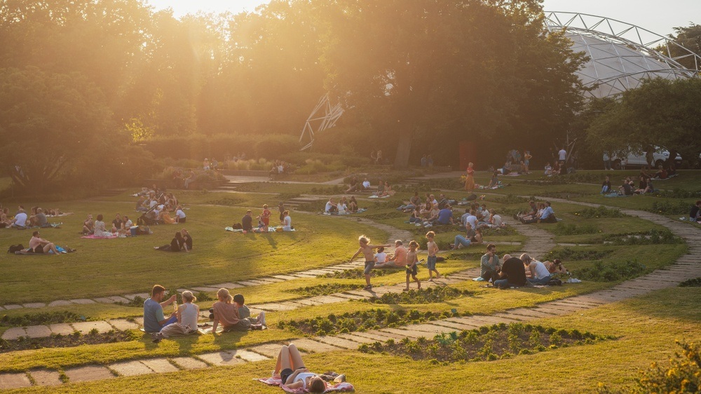 Herbst-Pflanzenraritätenmarkt