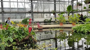GRASSI UNTERWEGS - Koloniale Spuren im Botanischen Garten der Universität Leipzig