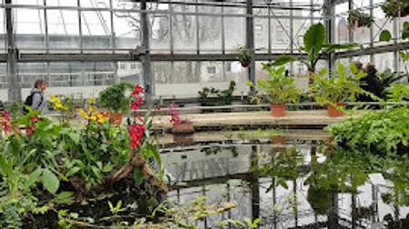 GRASSI UNTERWEGS - Koloniale Spuren im Botanischen Garten der Universität Leipzig