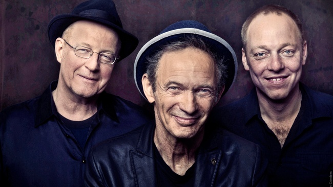 Abi Wallenstein & BluesCulture