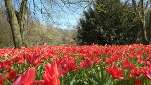 Führung: Frühlingserwachen – GartenPraxis im Westfalenpark