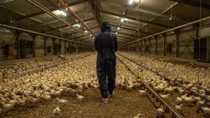 Eating The Future-Filmvorführung mit Paneltalk