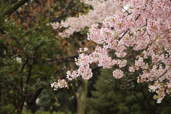 What's happening in May 2025? Events in Hanover