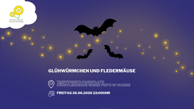 Glühwürmchen und Fledermäuse im Resser Wäldchen