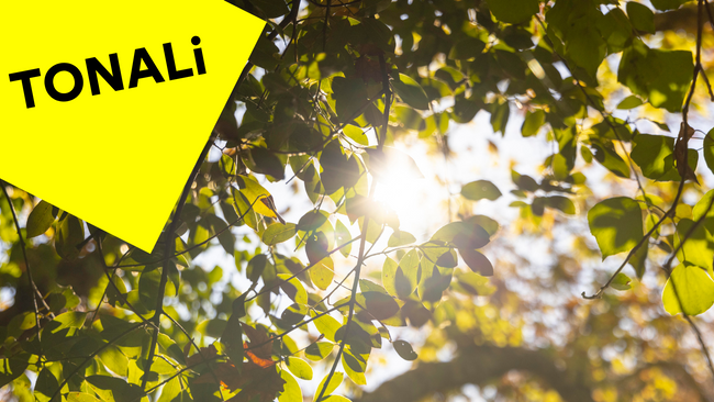 PAUSE — Quartierskonzert TONALi Festival 2026