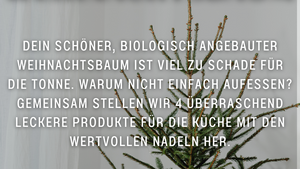 Iss deinen Weihnachtsbaum! Nadelbaum-Workshop