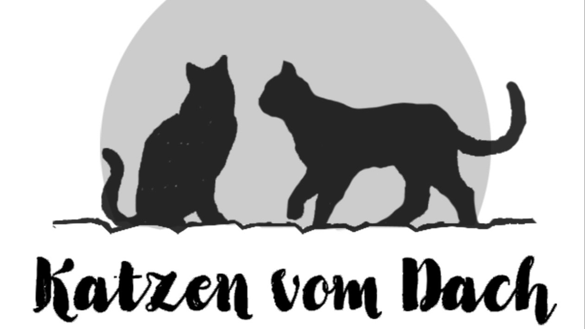 »Katzen vom Dach« // Konzert & Sommerabschluss