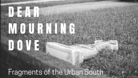 Finissage  “DEAR MOURNING DOVE - Fragments of the Urban South” Kristina Verzbilovska / kuvertüre herb @ ihmeKULT!