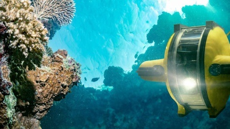 Führung: Expedition Weltmeere