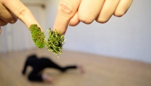 Startpunkt:Exploration