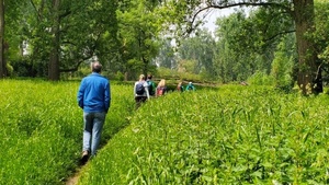 Raus ins Grüne: Waldbaden vor der Haustür