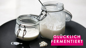 Fermentiert glücklich - Darmgesundheit, Mikrobiom & Fermente Workshop
