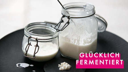 Fermentiert glücklich - Darmgesundheit, Mikrobiom & Fermente Workshop