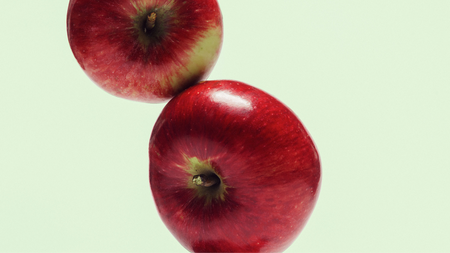 Au travail! Ein Spazierkonzert mit den Bremer Stadtpfeiferinnen | zamus: early music festival 2026