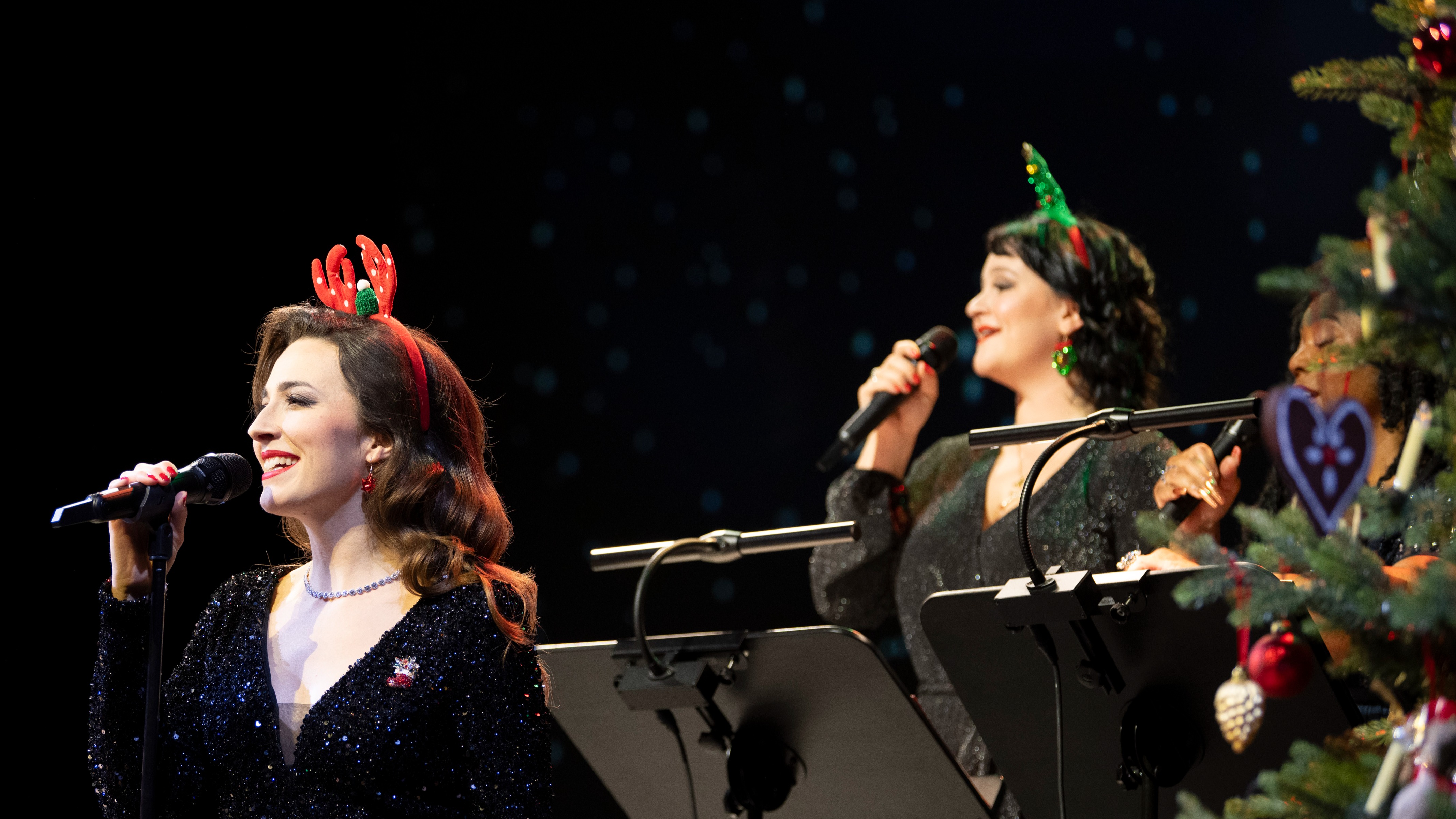 GÄRTNERPLATZ - CHRISTMAS - SING - ALONG 2026