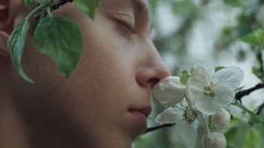 Filme von Studierenden (Programm 3)