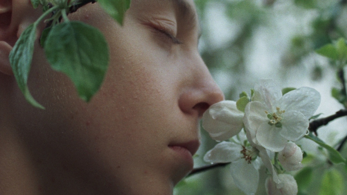 Filme von Studierenden (Programm 3)
