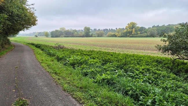 Wanderung: Durch die Saaleaue nach Weißenfels