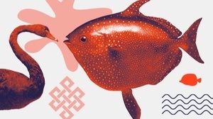 Queer durch die Wildnis – Tierische Vielfalt entdecken!