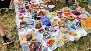 Veganes mitbring Picknick - Köln