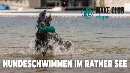 Hundeschwimmen am Rather See