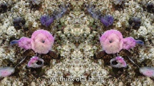 Strahlende Zukünfte. Videocity ✕ Digital Salon Leipzig